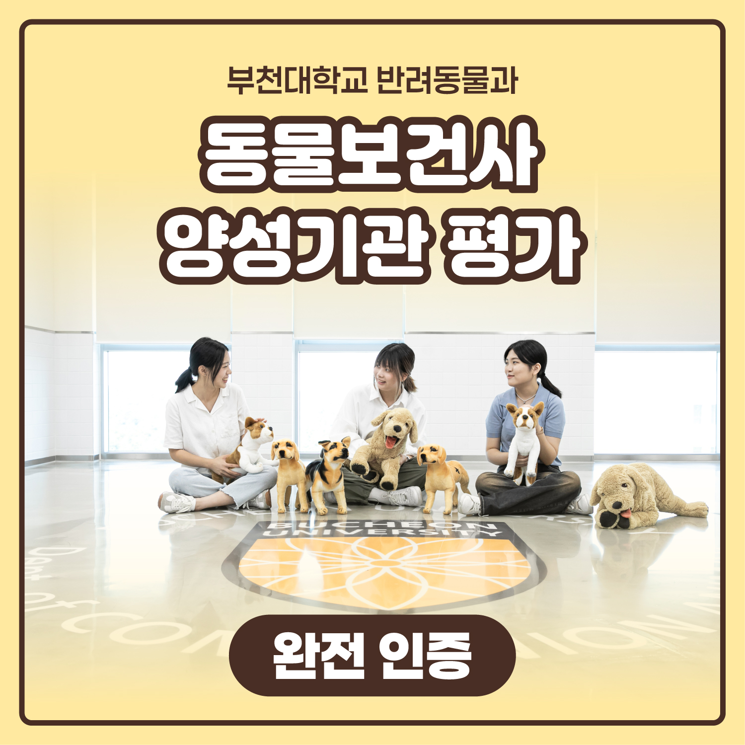 동물보건사 양성기관 평가 안전 인증